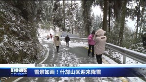 雪景如画！什邡山区迎来降雪