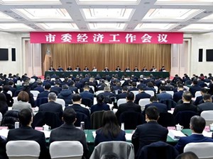 市委经济工作会议举行
