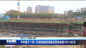 今年前十一月 什邡完成省市重点项目投资109.6亿元