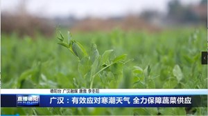 广汉：有效应对寒潮天气 全力保障蔬菜供应