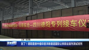 到了！德阳喜接中缅印度洋新通道国际公铁联运首列测试班列