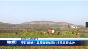 罗江新盛：果蔬双双成熟 村民喜获丰收