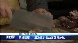 筑巢留雁  广汉为返乡创业者保驾护航