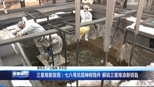 三星堆新发现：七八号坑现神树残件 解码三星堆添新钥匙