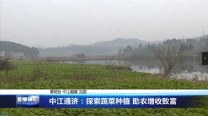 中江通济：探索蔬菜种植 助农增收致富