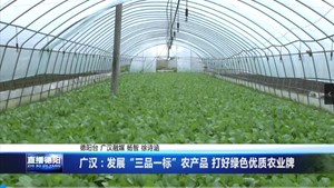 广汉：发展“三品一标”农产品 打好绿色优质农业牌