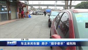 车主未关车窗  男子“顺手牵羊”被刑拘