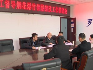 专项督导组赴罗江区督导烟花爆竹禁燃禁放
