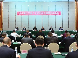 ​省十三届人大五次会议德阳代表团继续举行全体会议