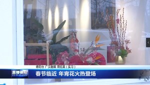 春节临近 年宵花火热登场 