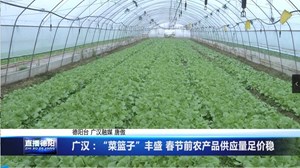 广汉：“菜篮子”丰盛 春节前农产品供应量足价稳