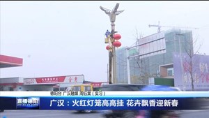 广汉：火红灯笼高高挂 花卉飘香迎新春