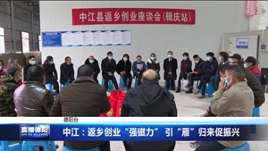 中江：返乡创业“强磁力” 引“雁”归来促振兴
