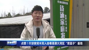 点赞！什邡黄背木耳入选粤港澳大湾区“菜篮子”基地
