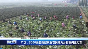 广汉：3000余名新型职业农民成为乡村振兴主力军