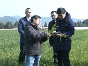 抓牢粮食生产 全面夯实农业基本盘