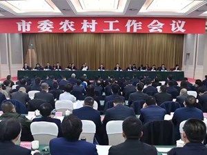 以更加务实有效的举措做好“三农”工作 确保农业稳产稳增农民稳固增收农村稳定安宁