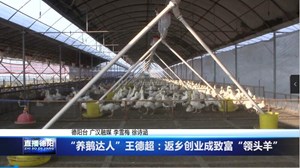“养鹅达人”王德超：返乡创业成致富“领头羊”