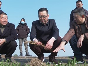多措并举抓好春耕备耕 扎实推进农业生产
