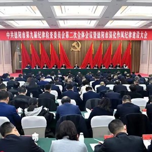 保持定力纵深推进全面从严治党 以铁的纪律作风保障促进德阳高质量发展