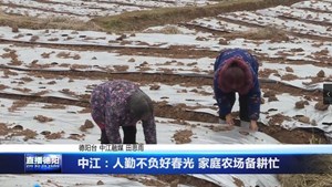 中江：人勤不负好春光 家庭农场备耕忙