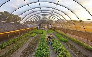 央媒看德阳 | 农技课堂进田间