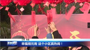 幸福闹元宵 这个小区真热闹！