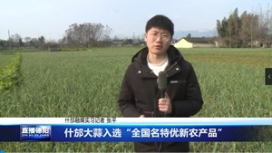 什邡大蒜入选“全国名特优新农产品”