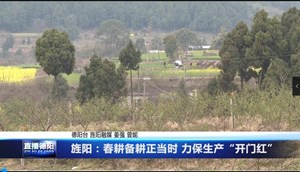 旌阳：春耕备耕正当时 力保生产“开门红”