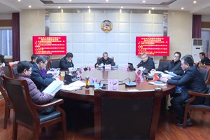 全面推进从严治党 持续巩固政协良好政治生态