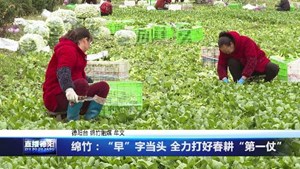 绵竹：“早”字当头 全力打好春耕“第一仗”