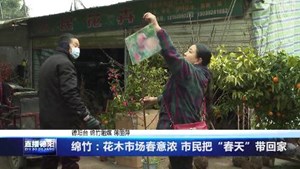 绵竹：花木市场春意浓 市民把“春天”带回家