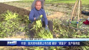 什邡：加大时令蔬菜上市力度 做好“菜篮子”生产保供应