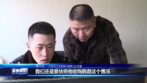 野生保护动物当宠物 违法！