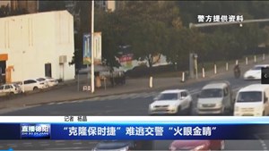 “克隆保时捷”难逃交警“火眼金睛”