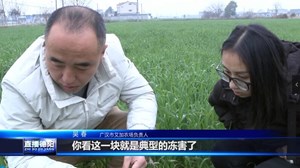 返乡创业“新农人”：在田野里播种梦想和希望