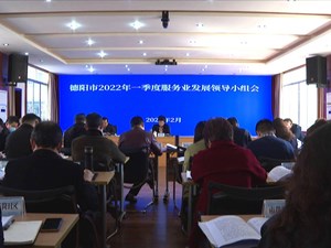 2022年一季度德阳市服务业发展领导小组会召开
