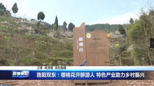 旌阳双东：樱桃花开醉游人 特色产业助力乡村振兴