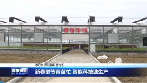 罗江：新春时节育苗忙 智能科技助生产