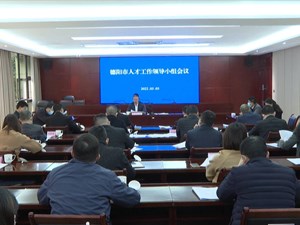 市人才工作领导小组2022年第一次会议召开