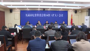 市纪委召开常委（扩大）会议