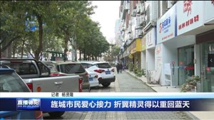 旌城市民爱心接力 折翼精灵得以重回蓝天