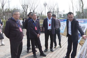 市政协委员视察我市中心城区邮票公园建设情况