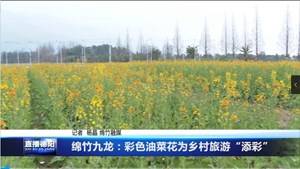 绵竹九龙：彩色油菜花为乡村旅游“添彩”