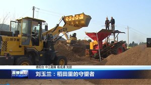 刘玉兰：稻田里的守望者