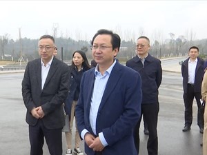 市领导赴罗江区开展专题调研