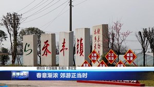 春意渐浓 郊游正当时