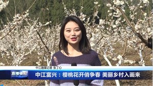 中江富兴：樱桃花开俏争春 美丽乡村入画来
