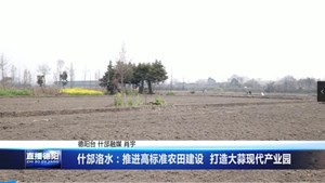 什邡洛水：推进高标准农田建设  打造大蒜现代产业园