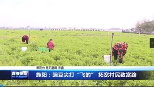 旌阳：豌豆尖打“飞的” 拓宽村民致富路